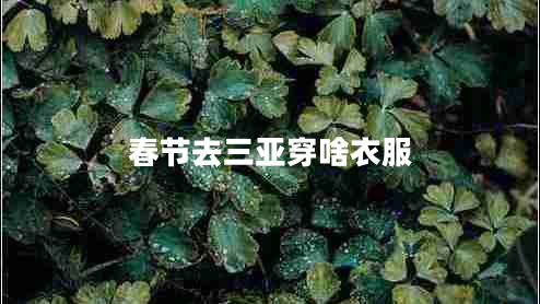 春节去三亚穿啥衣服