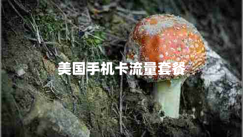 美国手机卡流量套餐