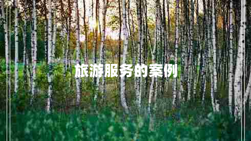 旅游服务的案例