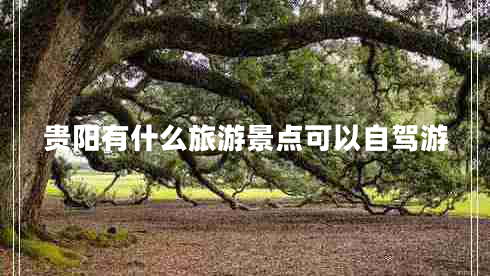 贵阳有什么旅游景点可以自驾游