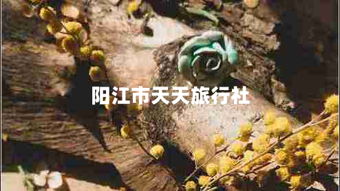 阳江市天天旅行社