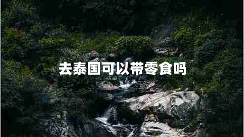 去泰国可以带零食吗