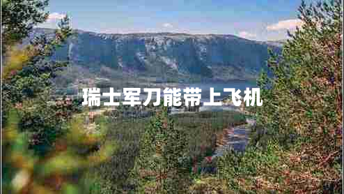 瑞士军刀能带上飞机