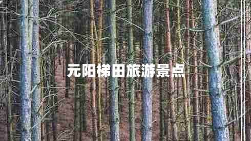 元阳梯田旅游景点