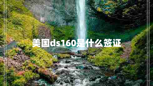 美国ds160是什么签证