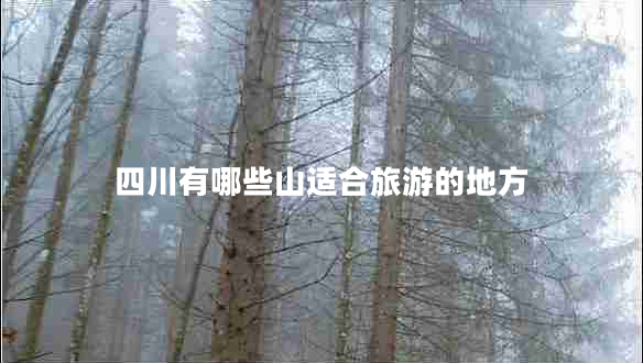 四川有哪些山适合旅游的地方
