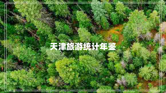 天津旅游统计年鉴