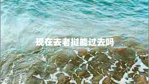 现在去老挝能过去吗