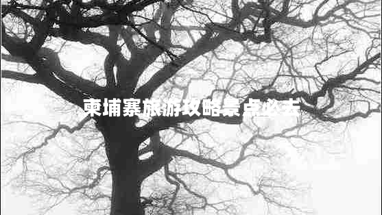 柬埔寨旅游攻略景点必去