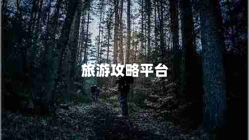 旅游攻略平台