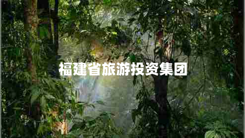 福建省旅游投资集团