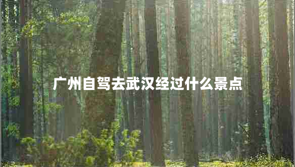广州自驾去武汉经过什么景点