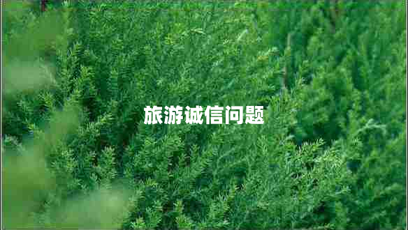 旅游诚信问题