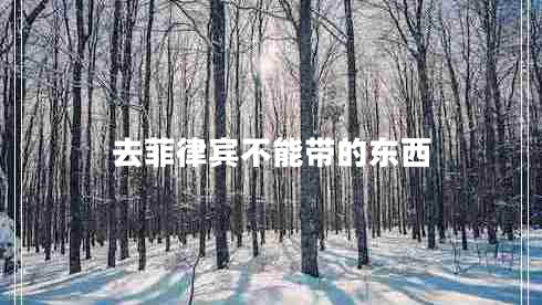 去菲律宾不能带的东西 去菲律宾不能带的东西