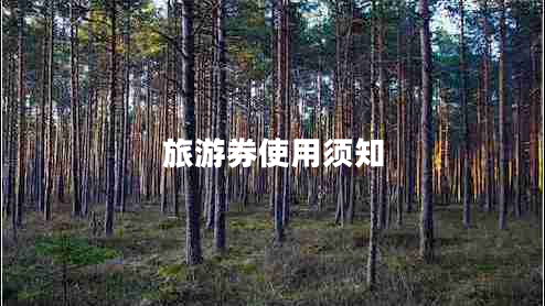 旅游券使用须知