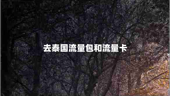 去泰国流量包和流量卡