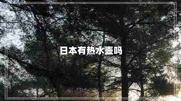 日本有热水壶吗