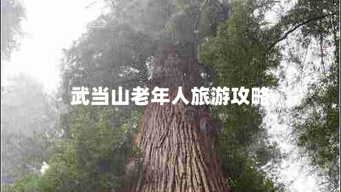武当山老年人旅游攻略