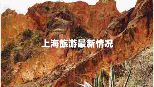 上海旅游最新情况