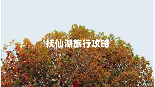 抚仙湖旅行攻略