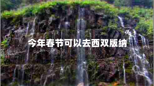 今年春节可以去西双版纳