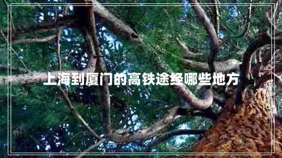 上海到厦门的高铁途经哪些地方