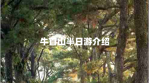 牛首山半日游介绍