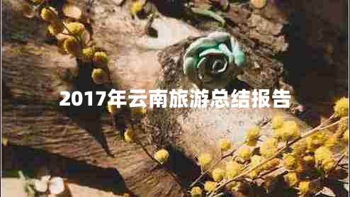 2017年云南旅游总结报告