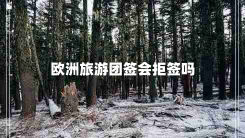 欧洲旅游团签会拒签吗