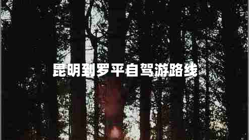 昆明到罗平自驾游路线