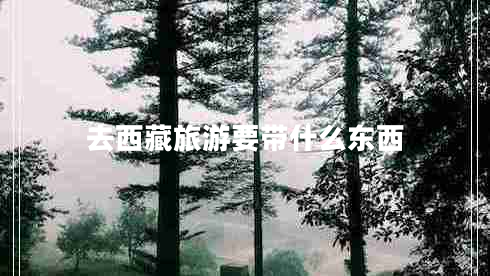 去西藏旅游要带什么东西