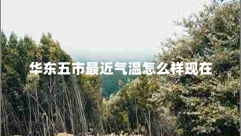 华东五市最近气温怎么样现在
