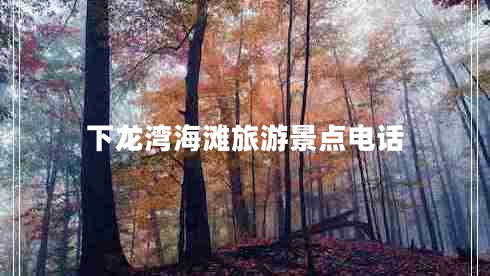 下龙湾海滩旅游景点电话