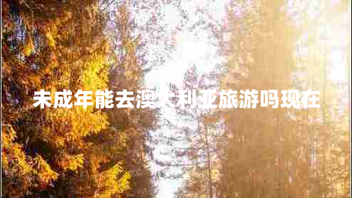 未成年能去澳大利亚旅游吗现在 未成年能去澳大利亚旅游吗现在