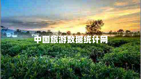 中国旅游数据统计网
