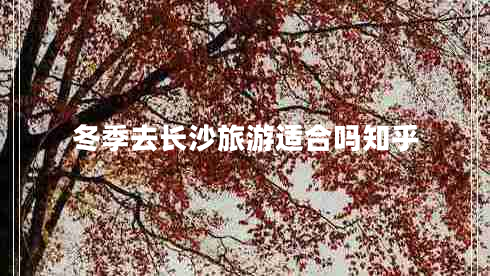 冬季去长沙旅游适合吗知乎