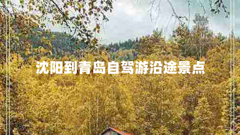 沈阳到青岛自驾游沿途景点
