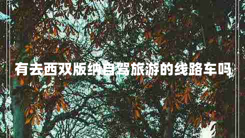 有去西双版纳自驾旅游的线路车吗