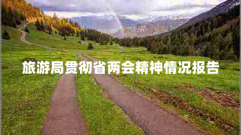 旅游局贯彻省两会精神情况报告