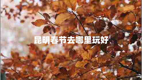 昆明春节去哪里玩好