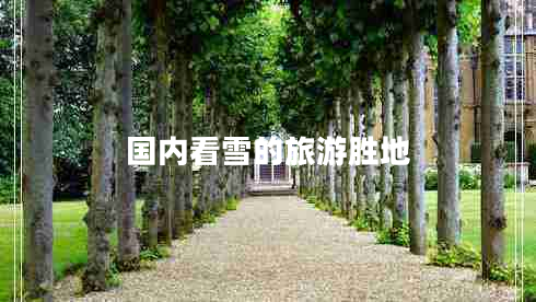 国内看雪的旅游胜地