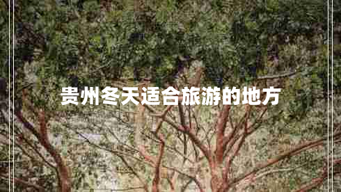 贵州冬天适合旅游的地方