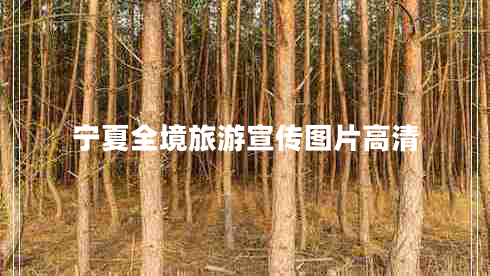 宁夏全境旅游宣传图片高清