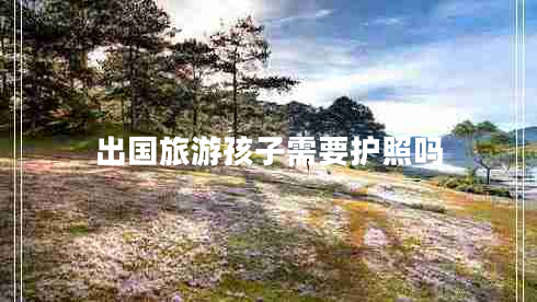出国旅游孩子需要护照吗