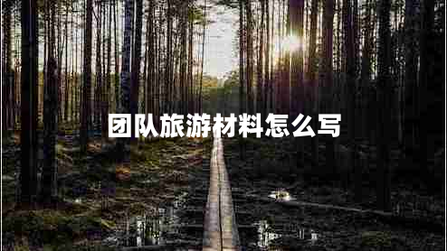 团队旅游材料怎么写
