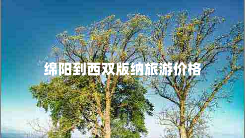绵阳到西双版纳旅游价格
