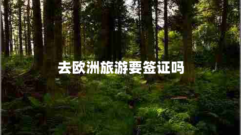 去欧洲旅游要签证吗