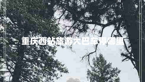 重庆西站旅游大巴车停哪里