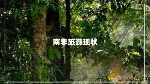 南非旅游现状