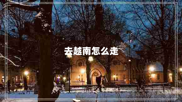 去越南怎么走